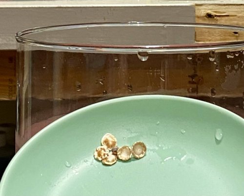 Susan LeGuyader's An Adventure in Water Casting - , General Education, Butane Torch, Soldering, Solder, water casting